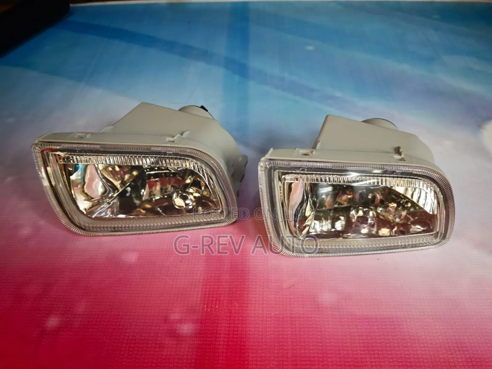 Premio 1998 Nyoka Foglights