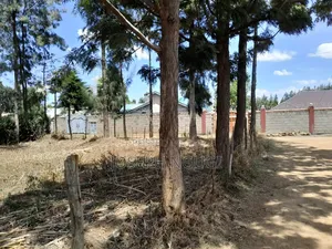 Plots on Sale at Njoro Sunrise