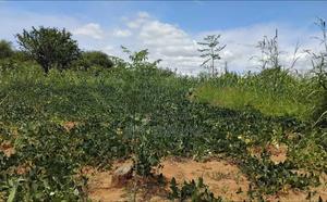 Land in Siakago - thumbnail 2