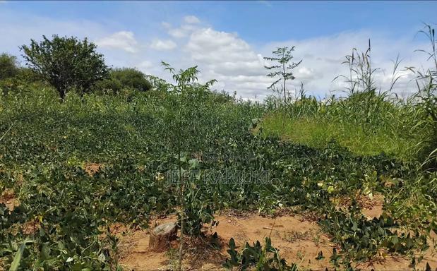 Land in Siakago - main view