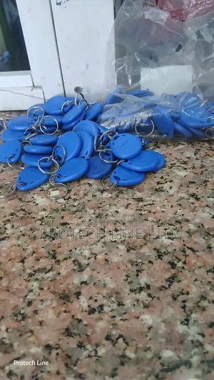 High Frequency Rfid Key Fobs 125mhz