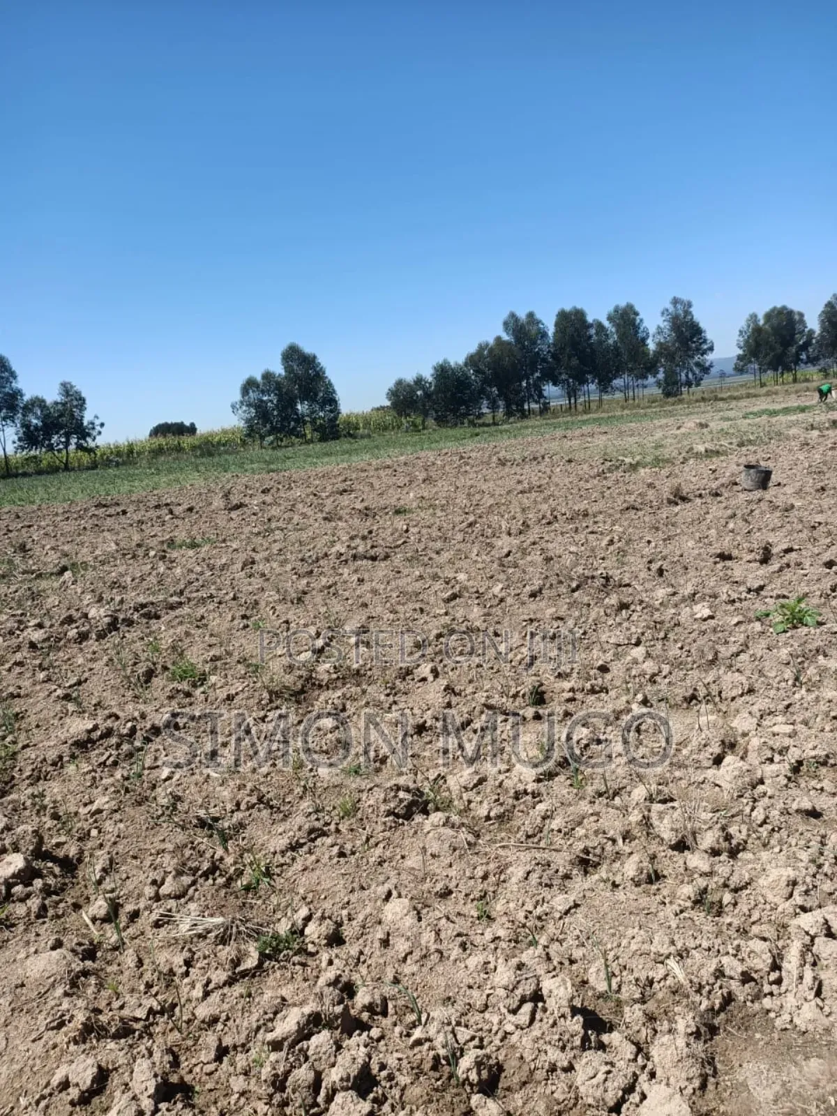 Nyandarua Ndunyu Njeru Nyakio Prime Agricultural 1 Acre