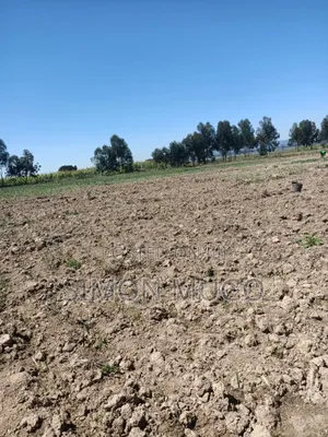 Nyandarua Ndunyu Njeru Nyakio Prime Agricultural 1 Acre