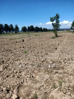 Nyandarua Ndunyu Njeru Nyakio Prime Agricultural 1 Acre