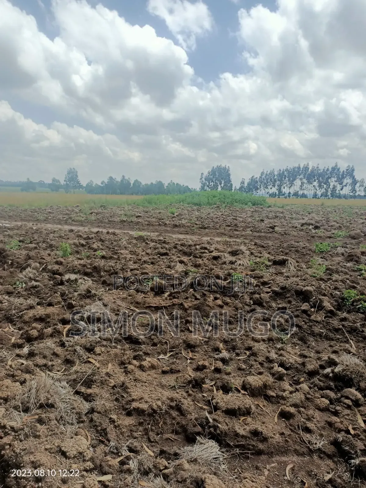 Nyandarua Ndunyu Njeru Nyakio Prime Agricultural 1 Acre
