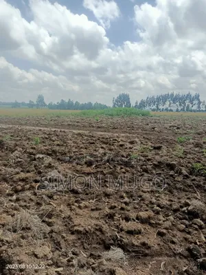 Nyandarua Ndunyu Njeru Nyakio Prime Agricultural 1 Acre