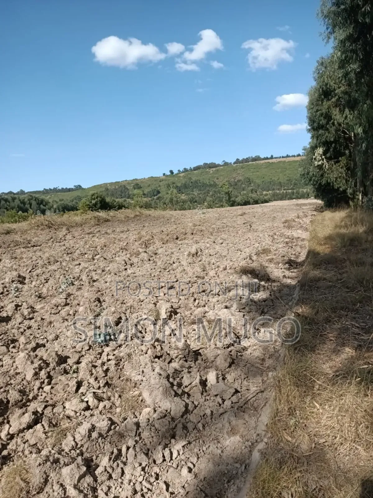 Nyandarua Ndunyu Njeru Nyakio Prime Agricultural 1 Acre