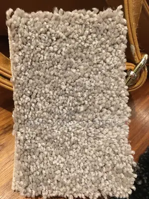Delta Wall to Wall Carpet – Premium Floor Finish