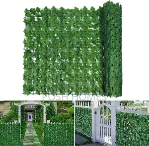 Box Wood Privacy Fence