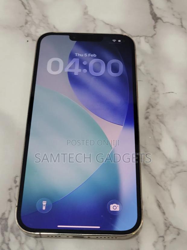 Apple iPhone 13 Pro Max 256 GB Rose Gold - main view