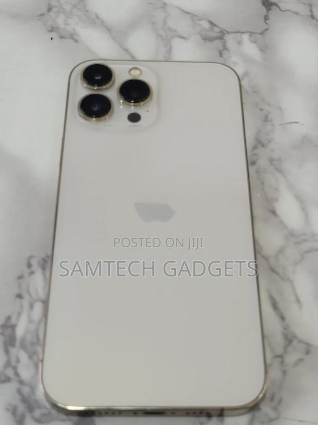 Apple iPhone 13 Pro Max 256 GB Rose Gold - thumbnail 2