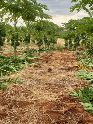 107 Acres In Gachuriri Embu- County
