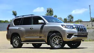 Toyota Land Cruiser Prado 2.8 2019 Silver