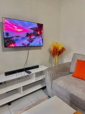 Well Furnished One Bedroom in South B