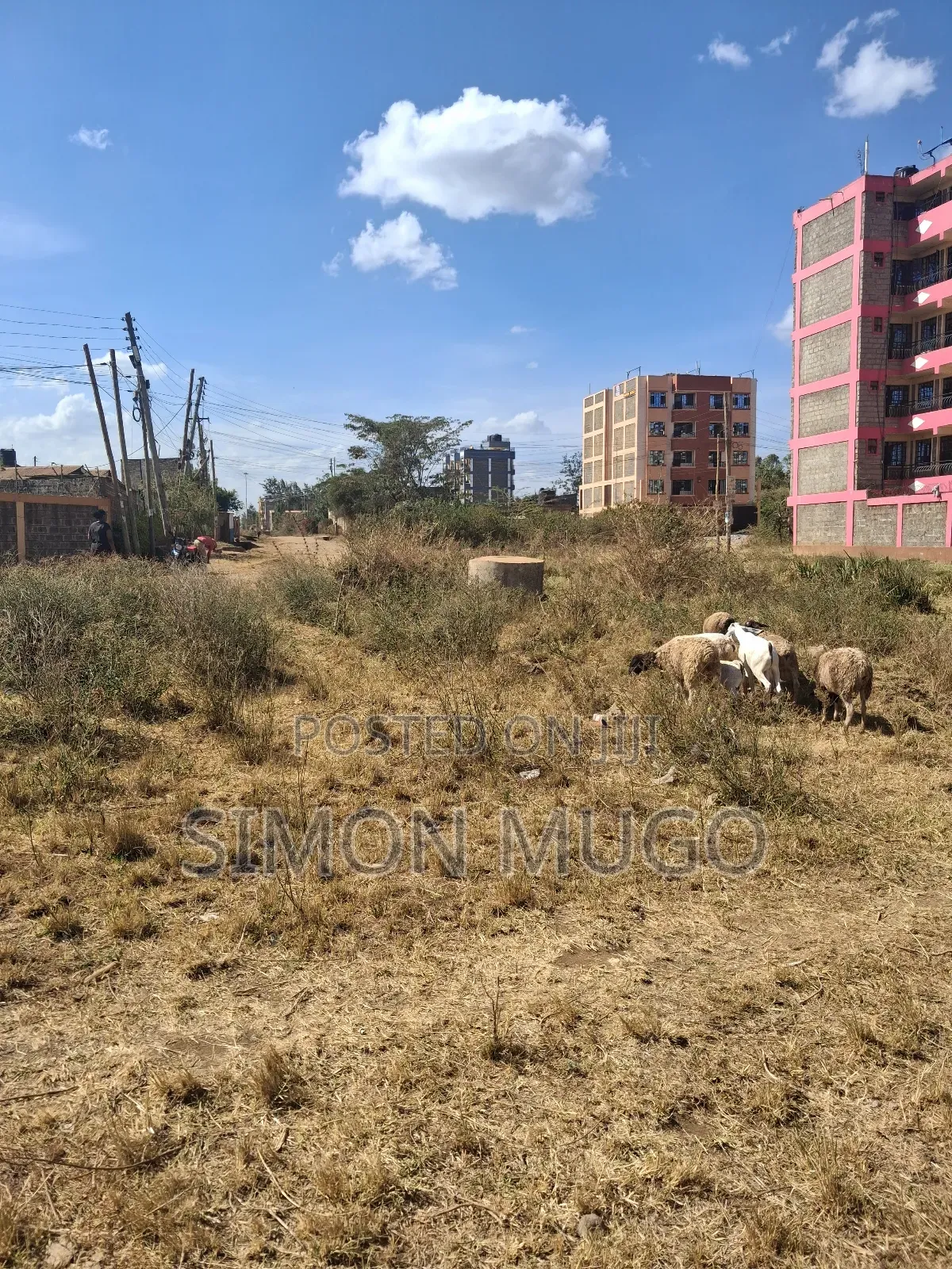 Ruiru Toll Behind Weighbridgel 1.7 Acre Ideal for Hospital,School