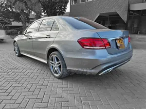 Mercedes-Benz E250 SV Premium 2014 Gray