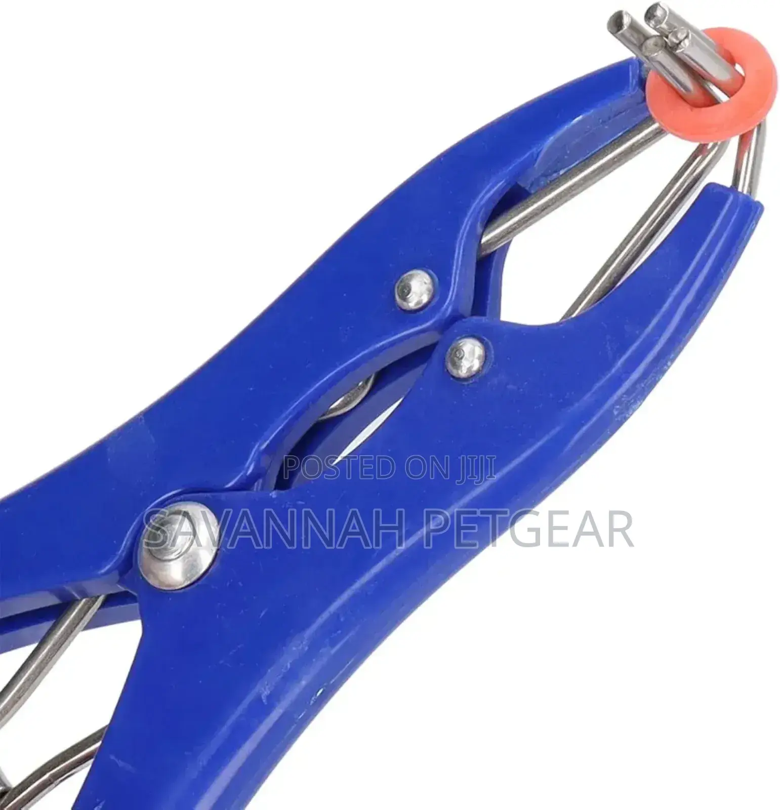 Castration Pliers, Animal Tail Docking Clamp + 100 Elastrator Rings