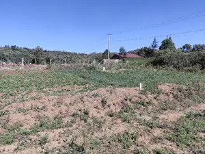 Quarter Acre for Sale in Nachu Ndacha Kikuyu Kiambu County.