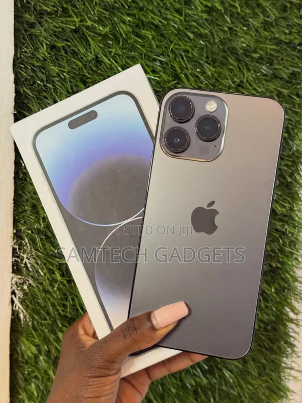 Apple iPhone 14 Pro Max 256 GB Gray - main view