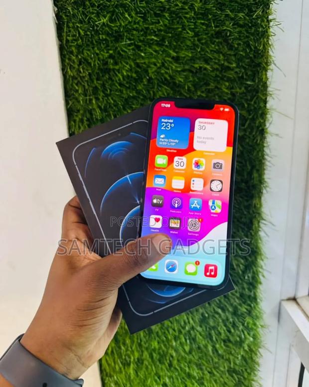 New Apple iPhone 12 Pro Max 256 GB Blue - thumbnail 3