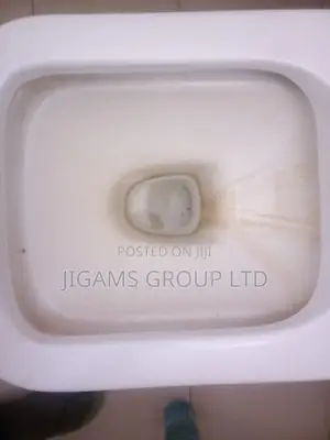 Cleaning and Fumigation