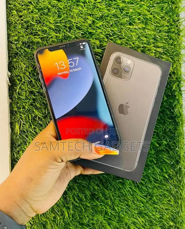 New Apple iPhone 11 Pro Max 256 GB Gray - main view