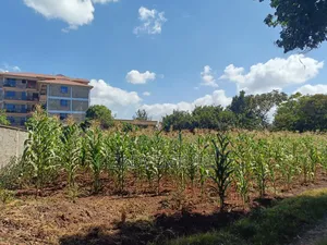 3 Quarter Plots for Sale at Muthiga for Sale at 30m