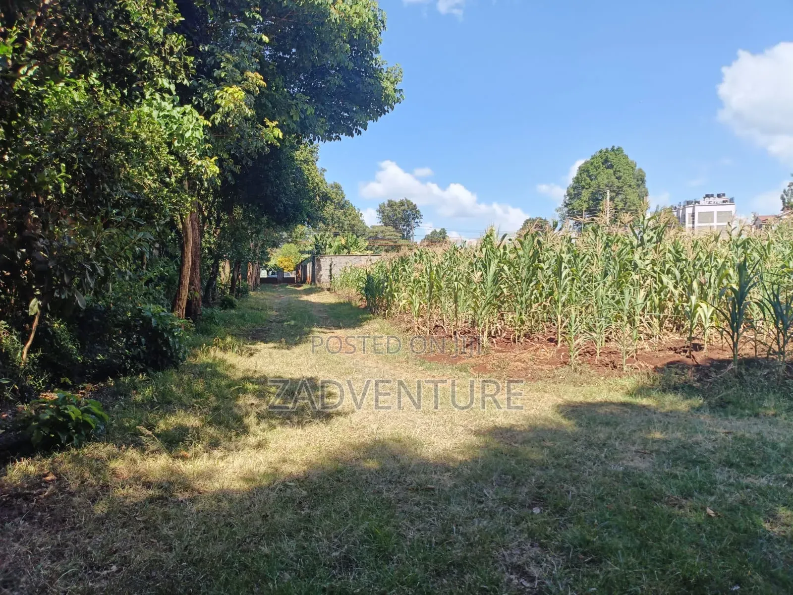 3 Quarter Plots for Sale at Muthiga for Sale at 30m