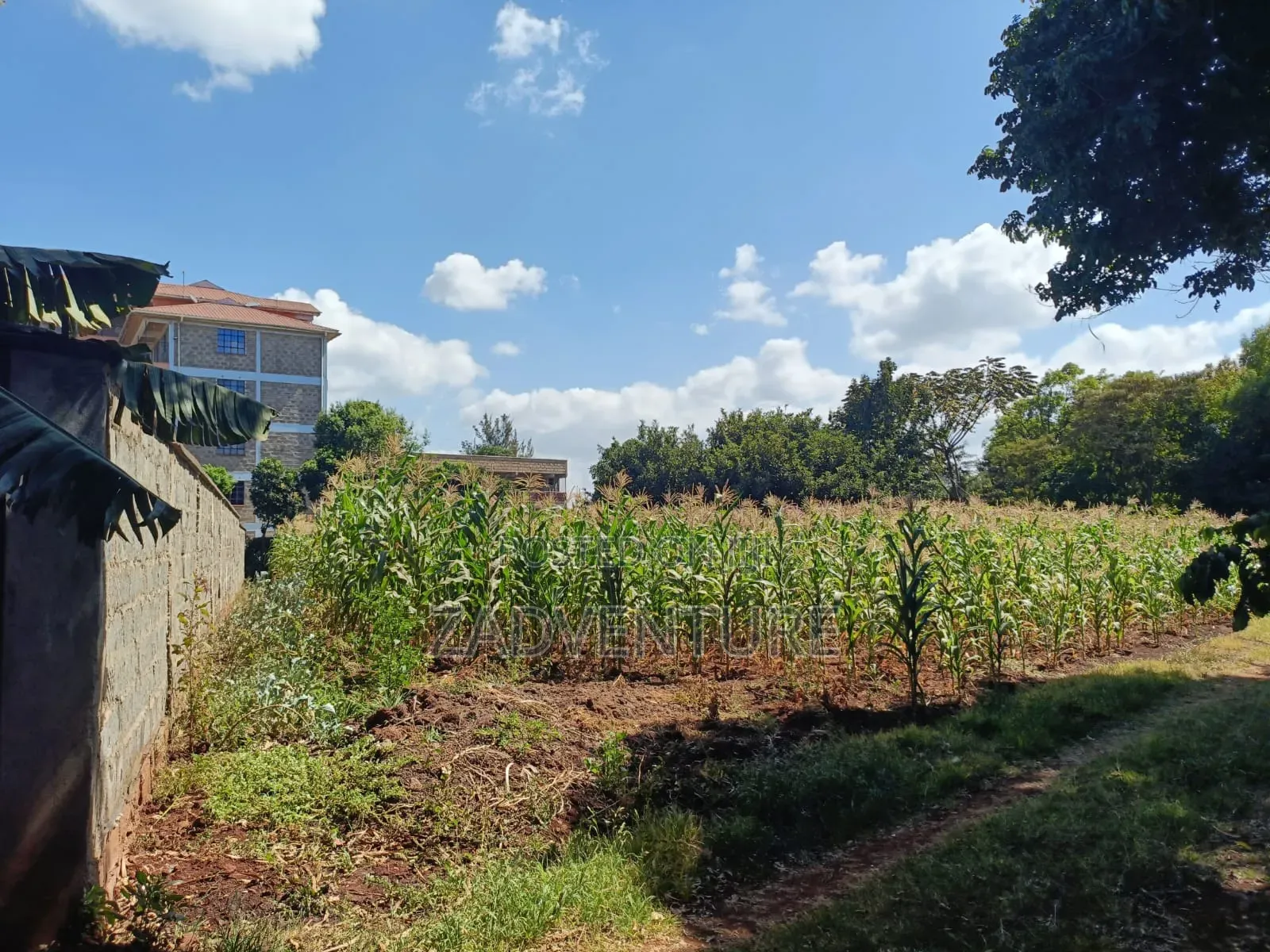 3 Quarter Plots for Sale at Muthiga for Sale at 30m