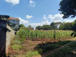 3 Quarter Plots for Sale at Muthiga for Sale at 30m