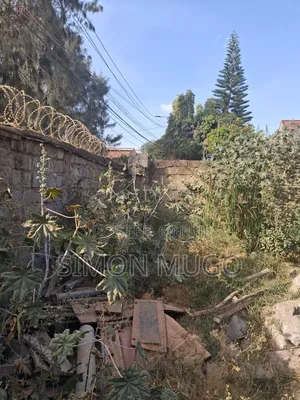 Membly Park Estate Prime Residential 1/8 Plot With a Perimeter Wall