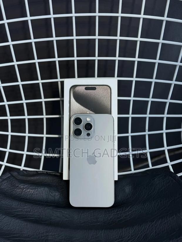 Apple iPhone 15 Pro Max 256 GB Silver - main view