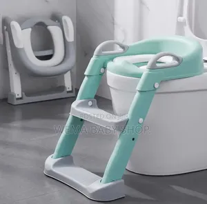 Toddler Potty Training Seat With a Step Stool Ladder.