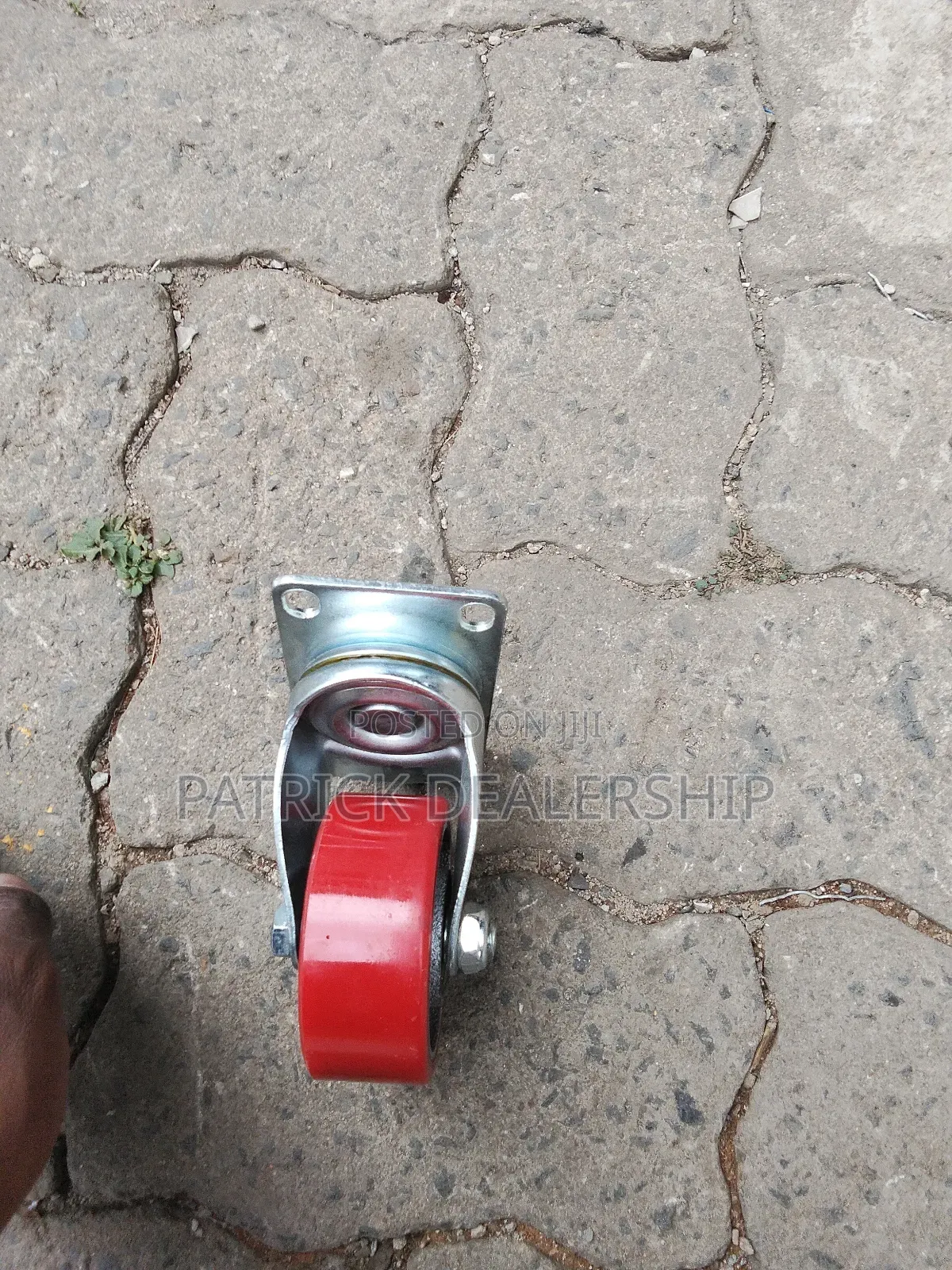 Fixed Castor Wheel