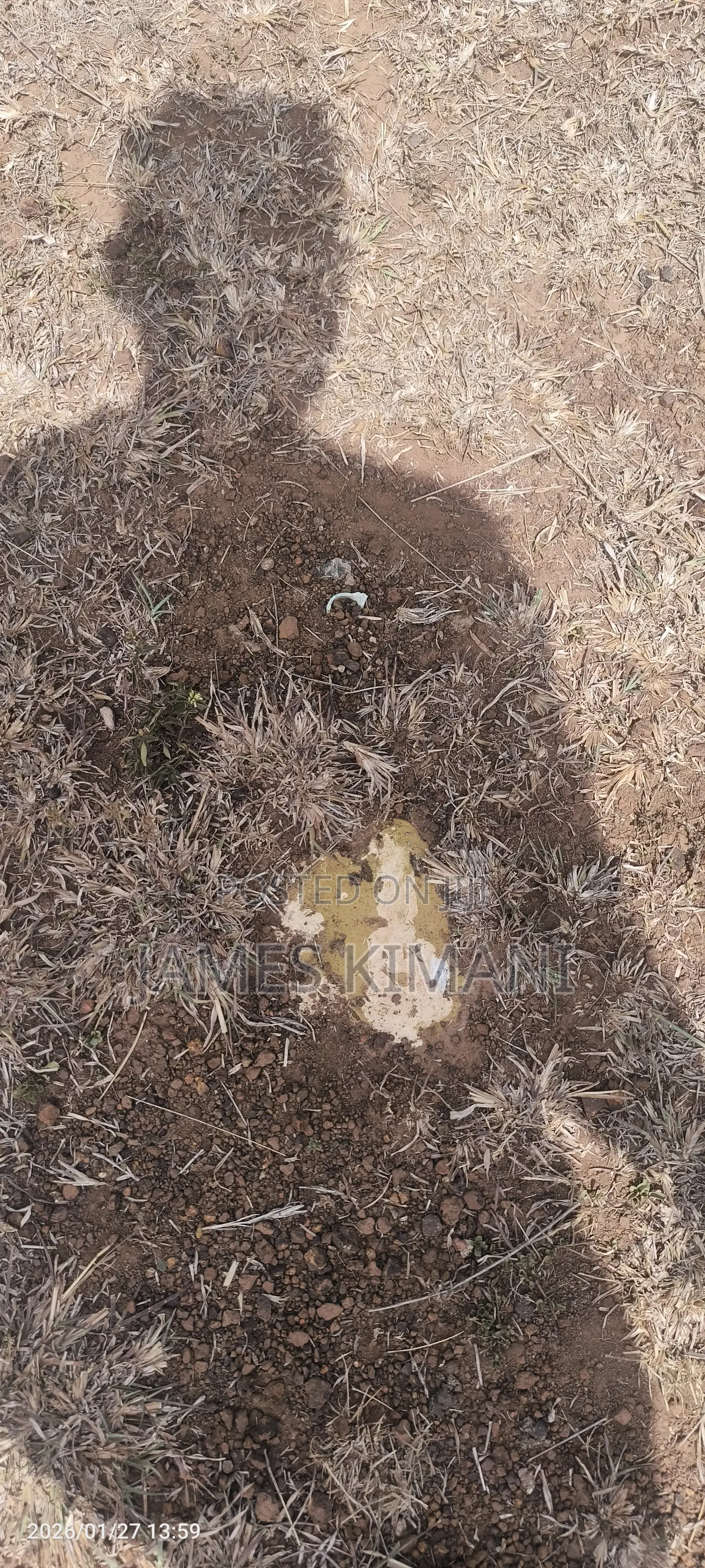 Prime 50×100 Plot Along Thika Super Highway – No Agent Fees