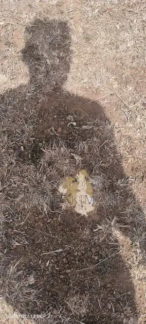 Prime 50×100 Plot Along Thika Super Highway – No Agent Fees