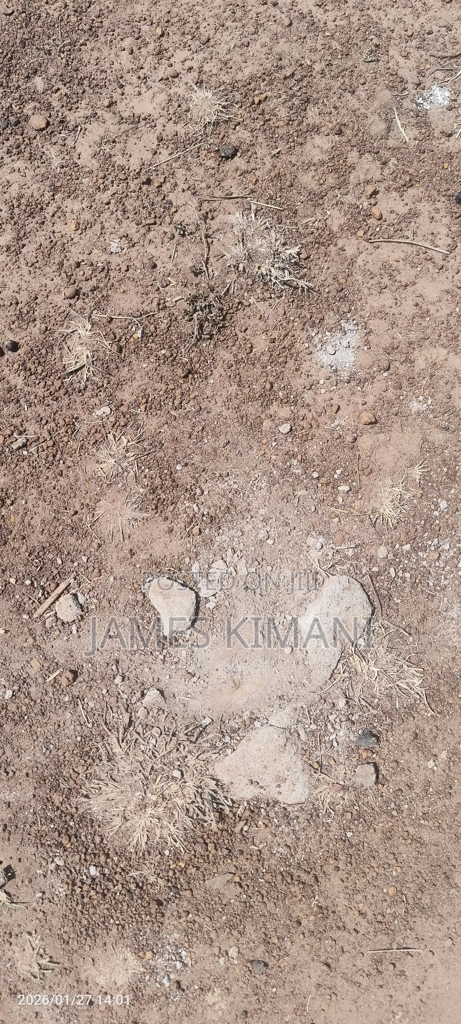 Prime 50×100 Plot Along Thika Super Highway – No Agent Fees