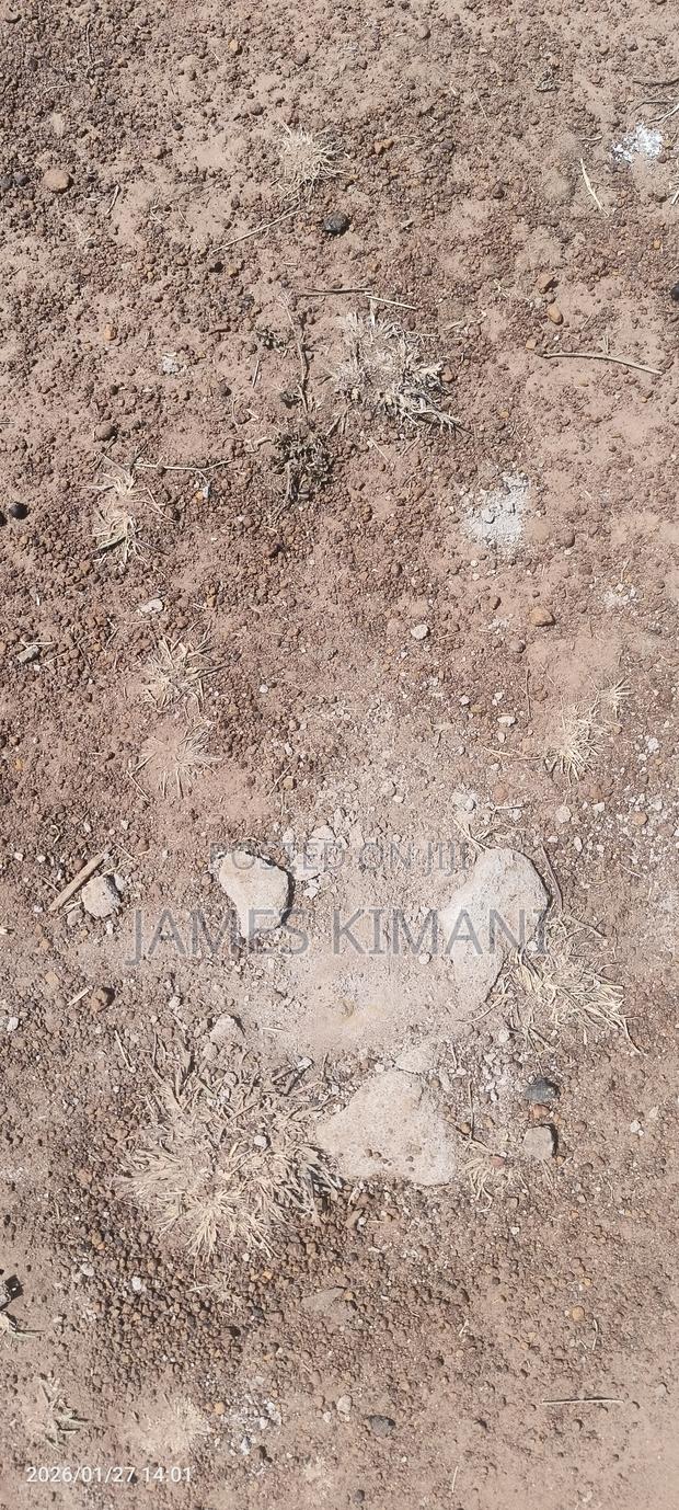 Prime 50×100 Plot Along Thika Super Highway – No Agent Fees - thumbnail 7