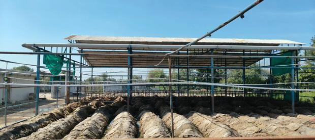 Vermicompost Organic Fertilizer - thumbnail 5