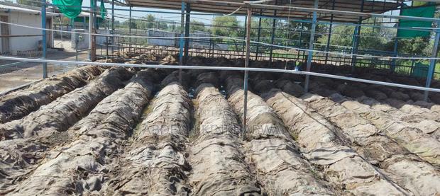 Vermicompost Organic Fertilizer - thumbnail 7