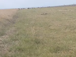 100 Acres of Land – Nkorkorri in Narok