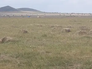 100 Acres of Land – Nkorkorri in Narok