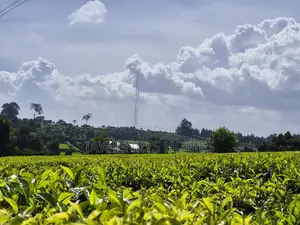 Land for Sale in Riara Ridge,Tigoni