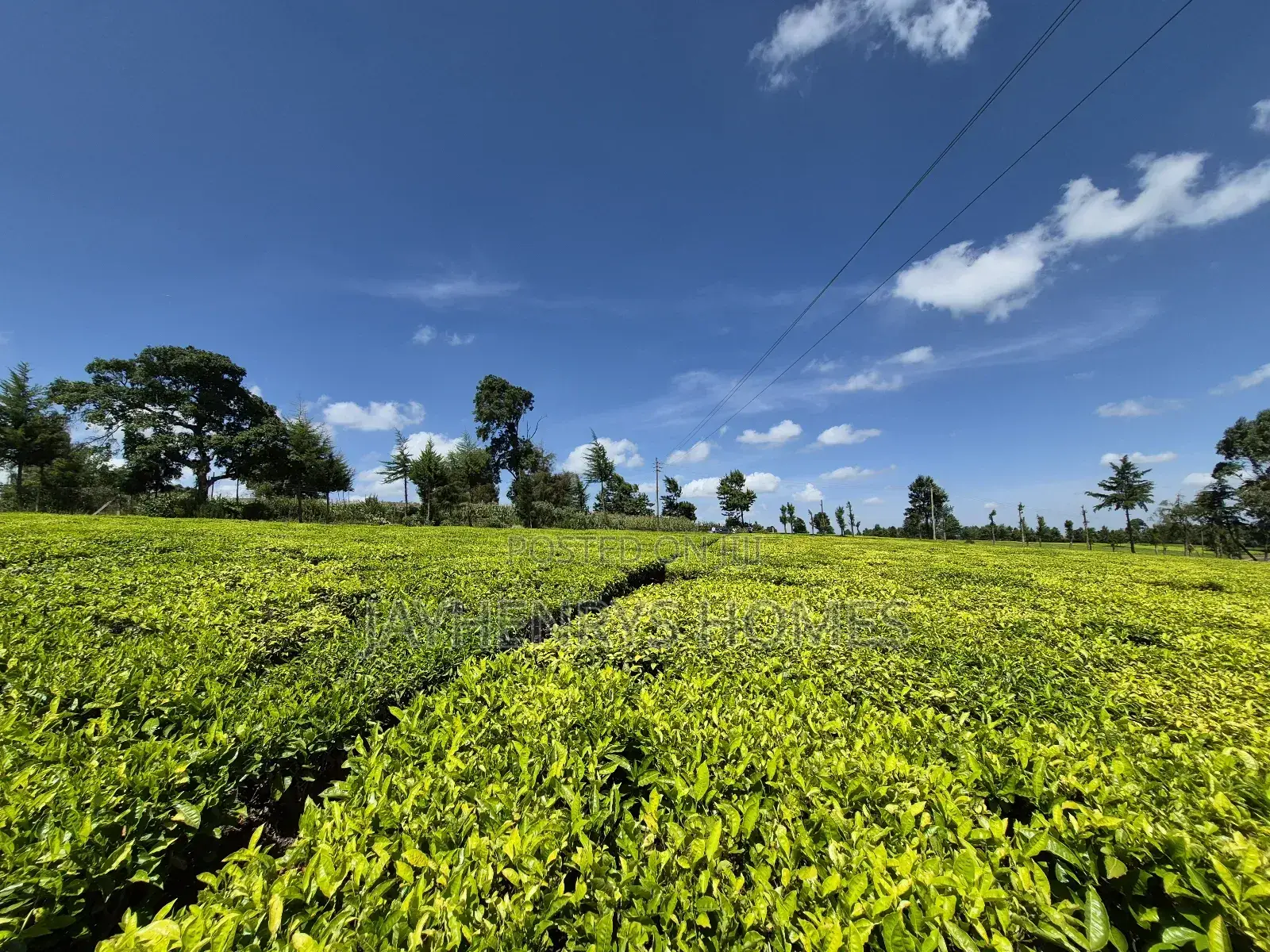 Land for Sale in Riara Ridge,Tigoni