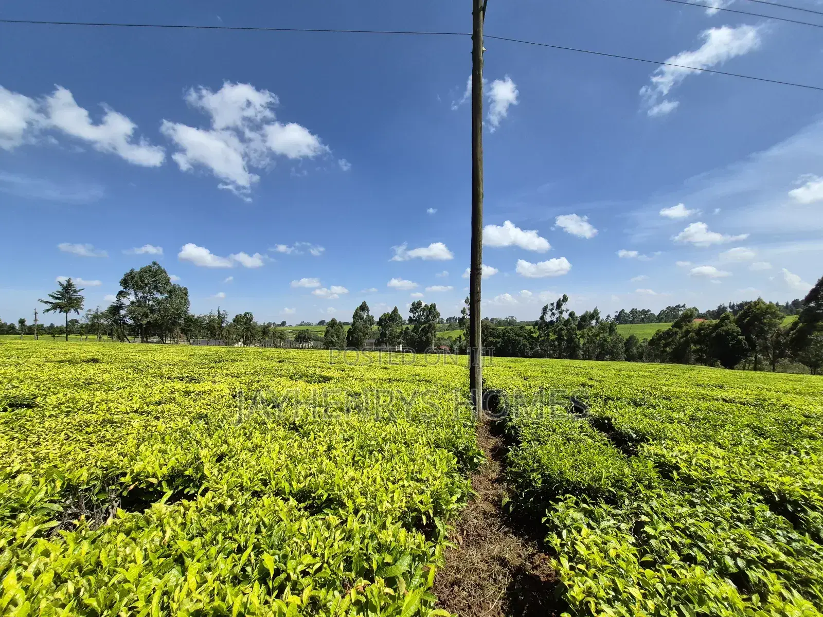 Land for Sale in Riara Ridge,Tigoni