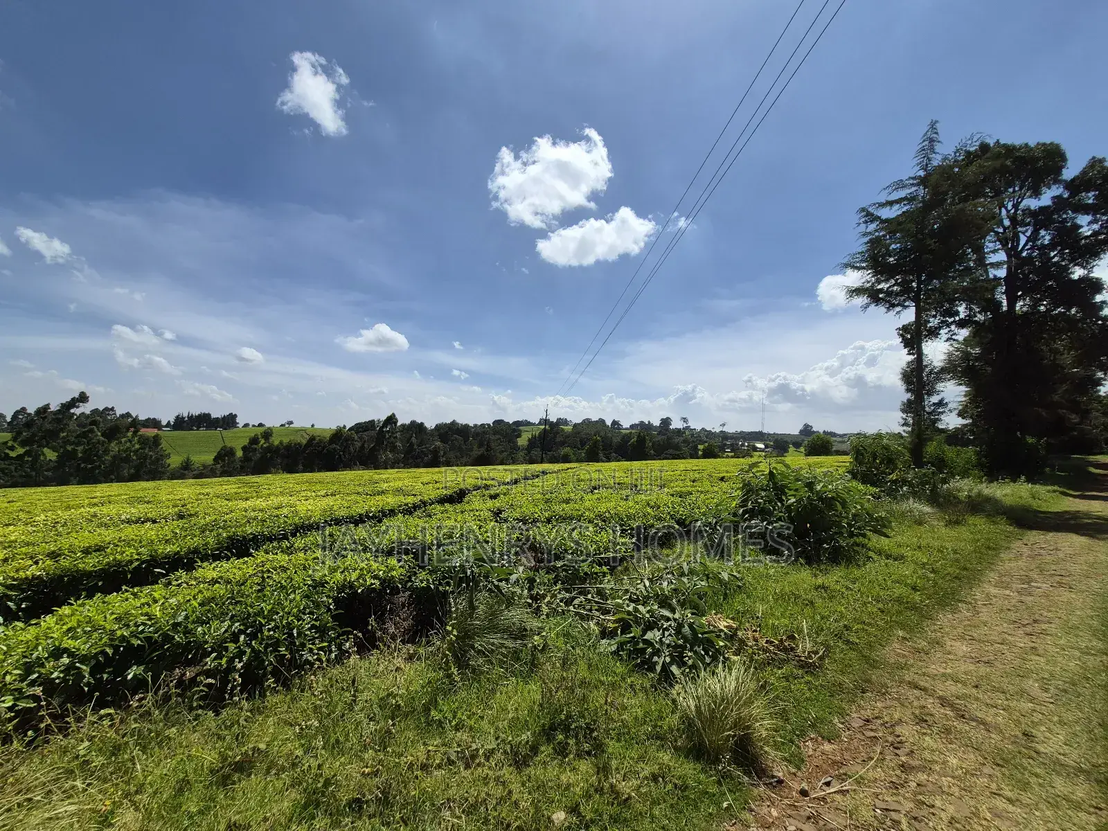 Land for Sale in Riara Ridge,Tigoni