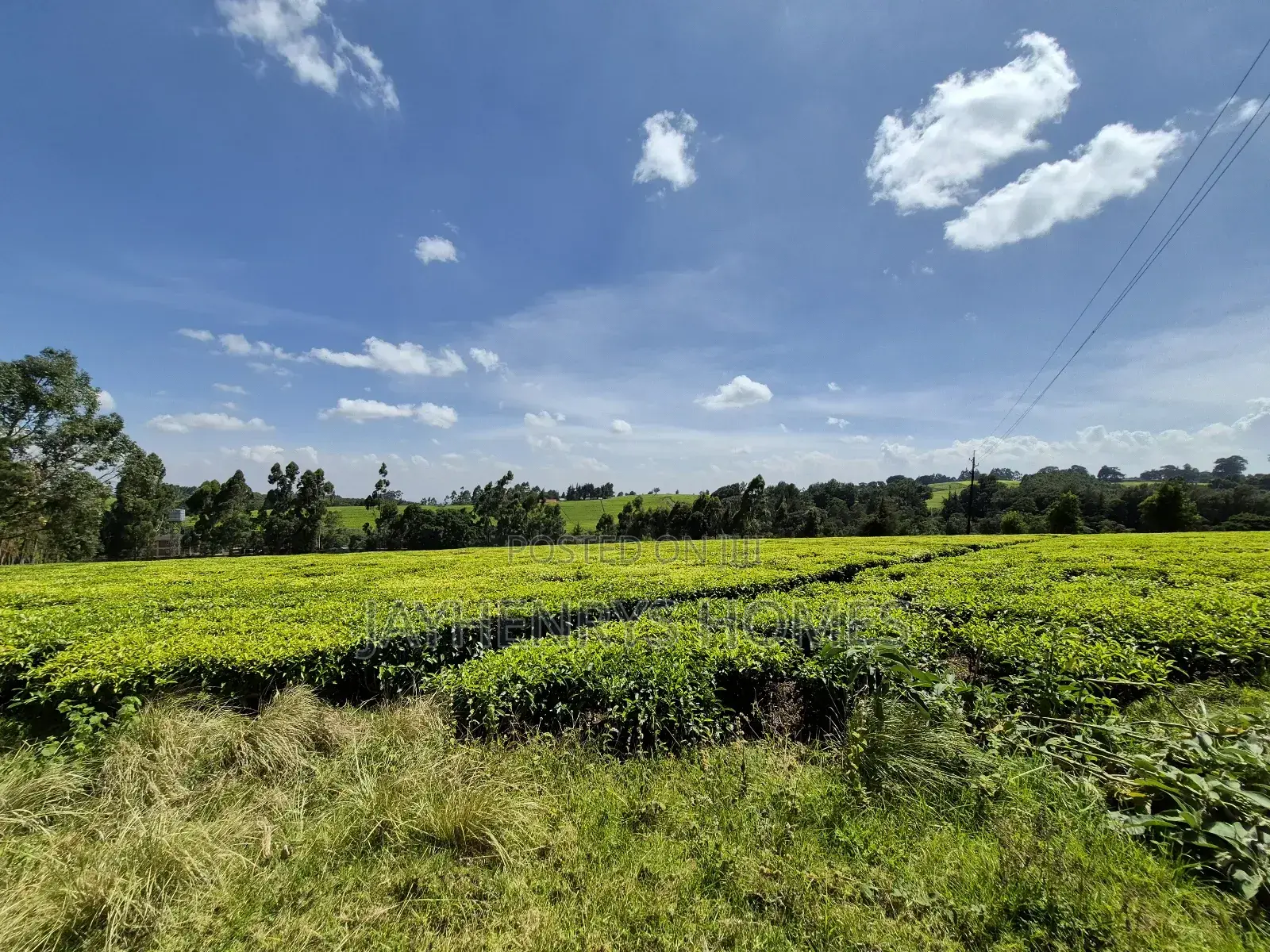 Land for Sale in Riara Ridge,Tigoni