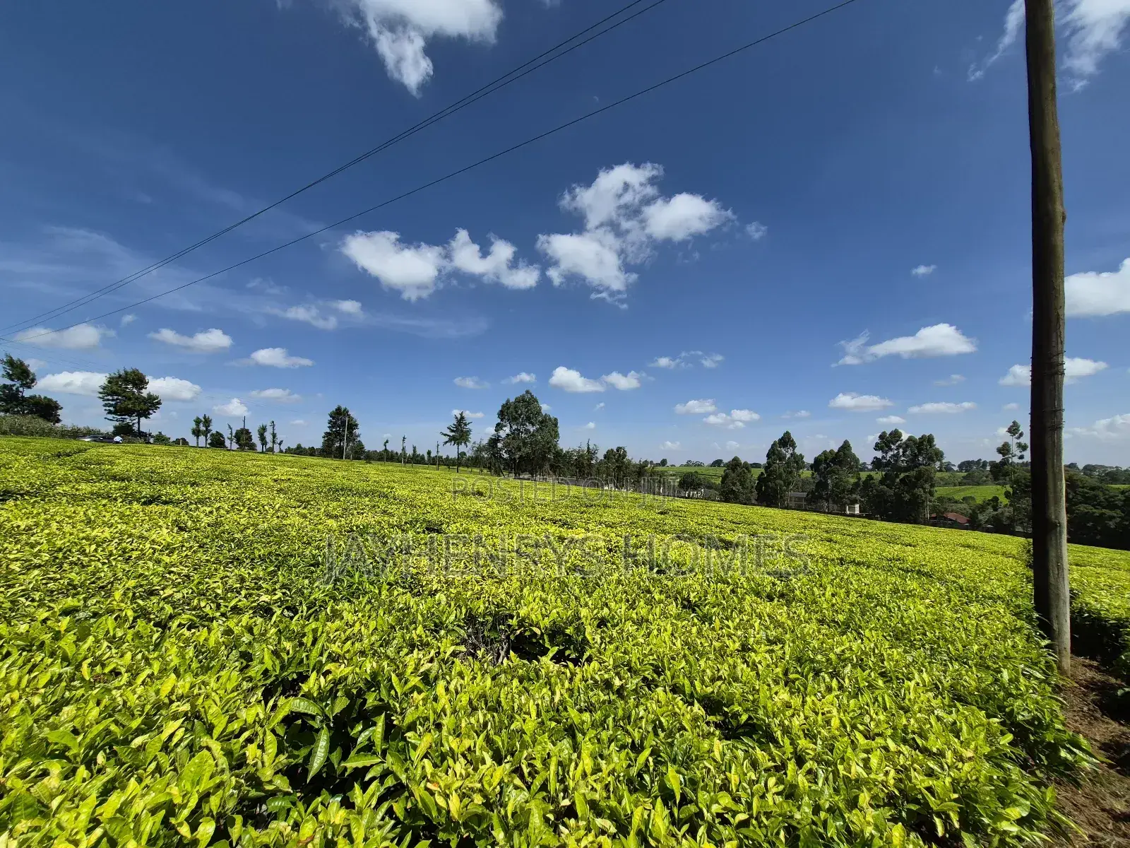 Land for Sale in Riara Ridge,Tigoni