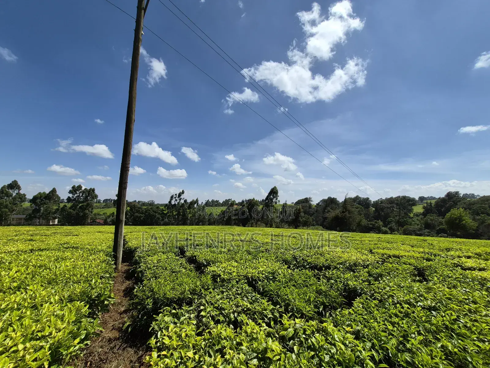 Land for Sale in Riara Ridge,Tigoni
