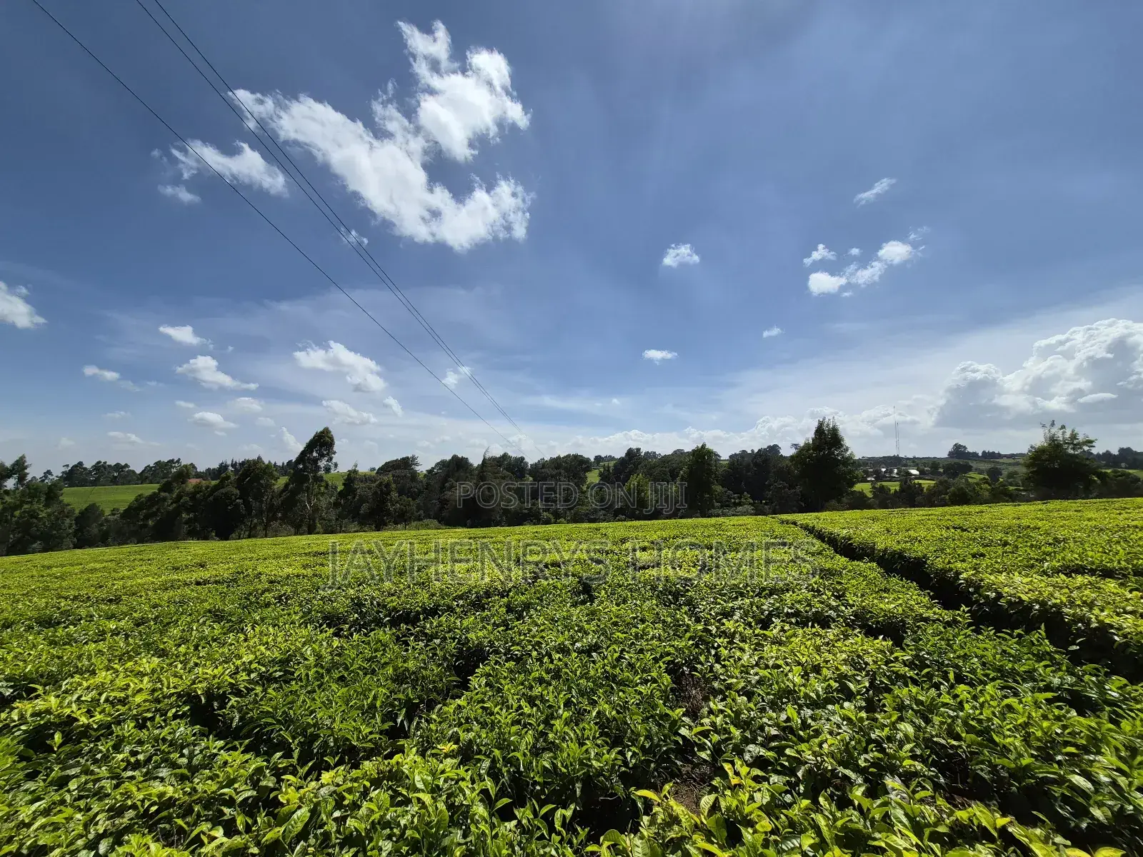 Land for Sale in Riara Ridge,Tigoni